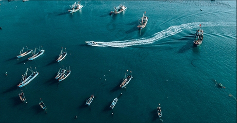 Director Wang Yinquan of Zhoushan Port Administration Visits Zhoushan Xingshunhang